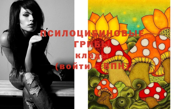 спайс Магадан