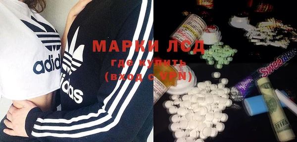 дмт Магас