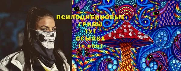 дмт Магас