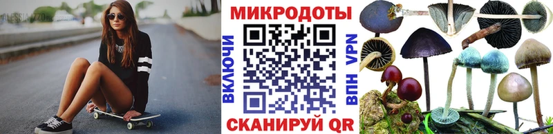 Псилоцибиновые грибы Psilocybine cubensis  Чулым 
